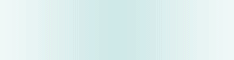 Banner 234x60